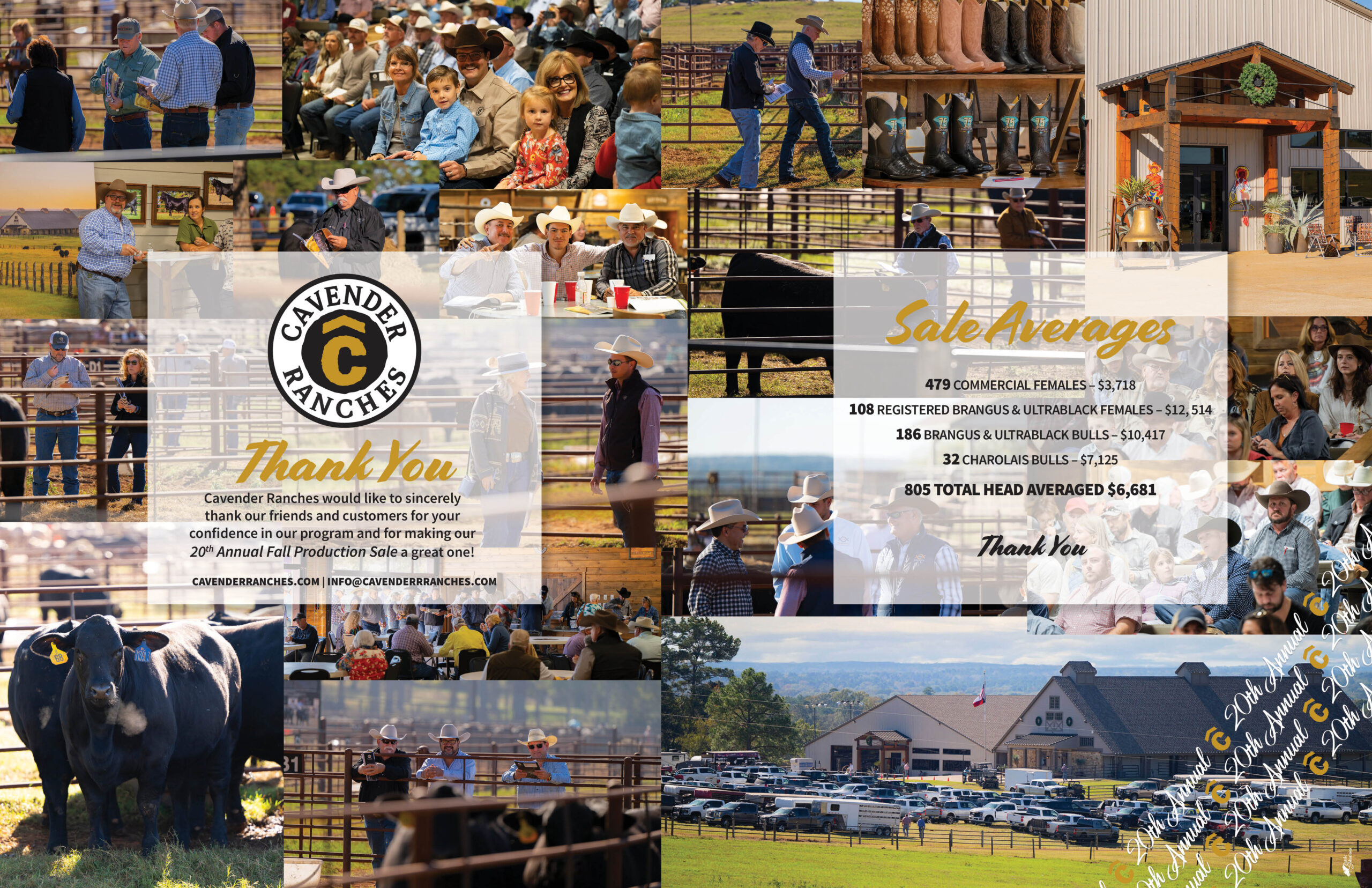 Collage of sale photos, thanking customers